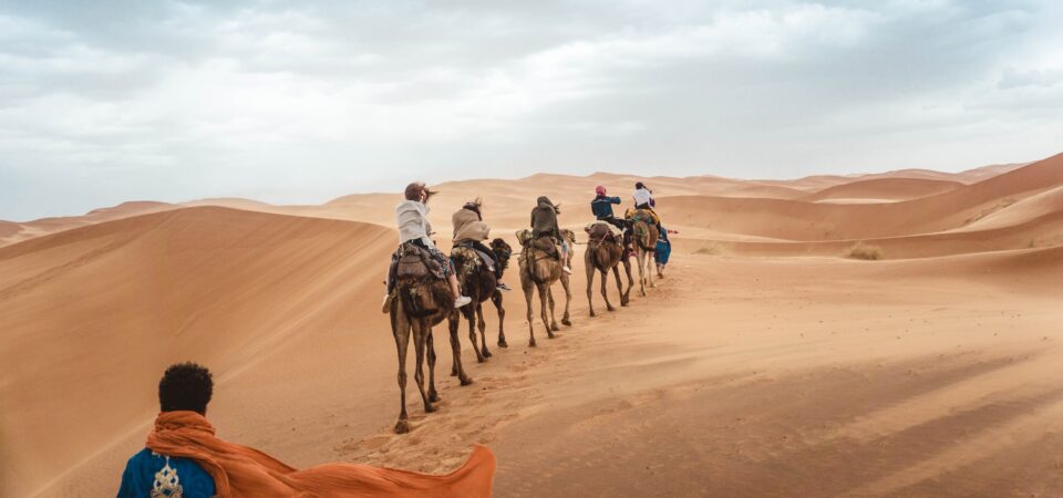 Morning Desert Safari with Camel Ride